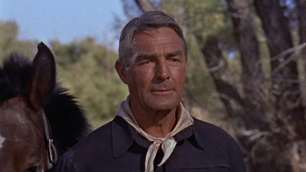 Backdrop – Der Siebente ist dran