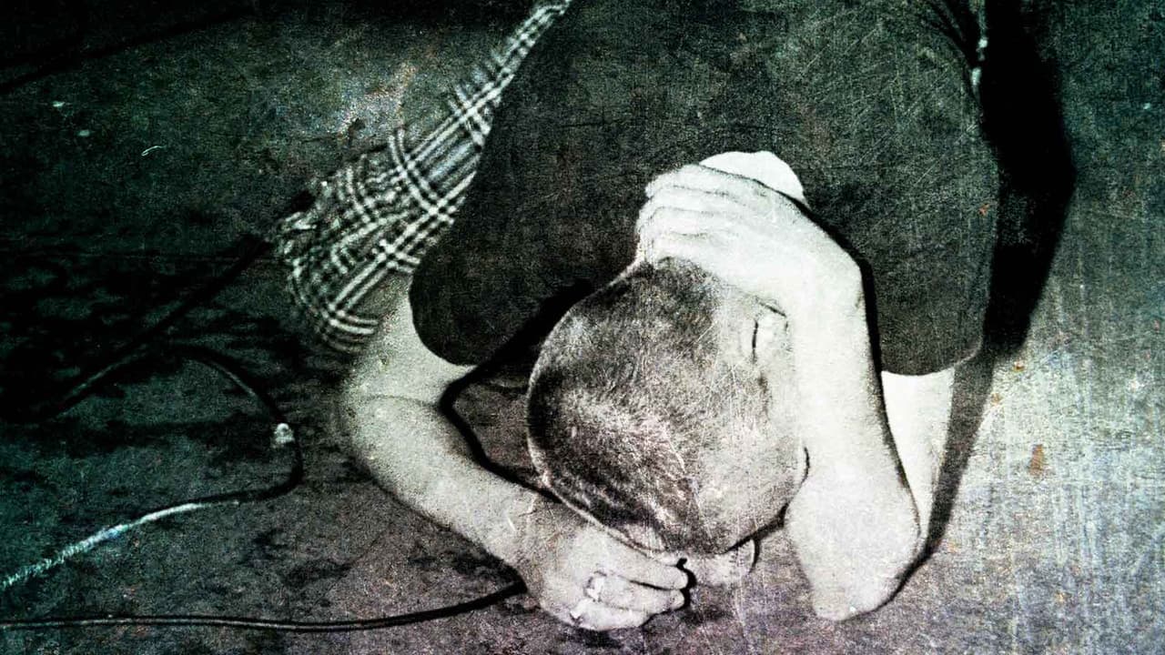 Backdrop – Salad Days