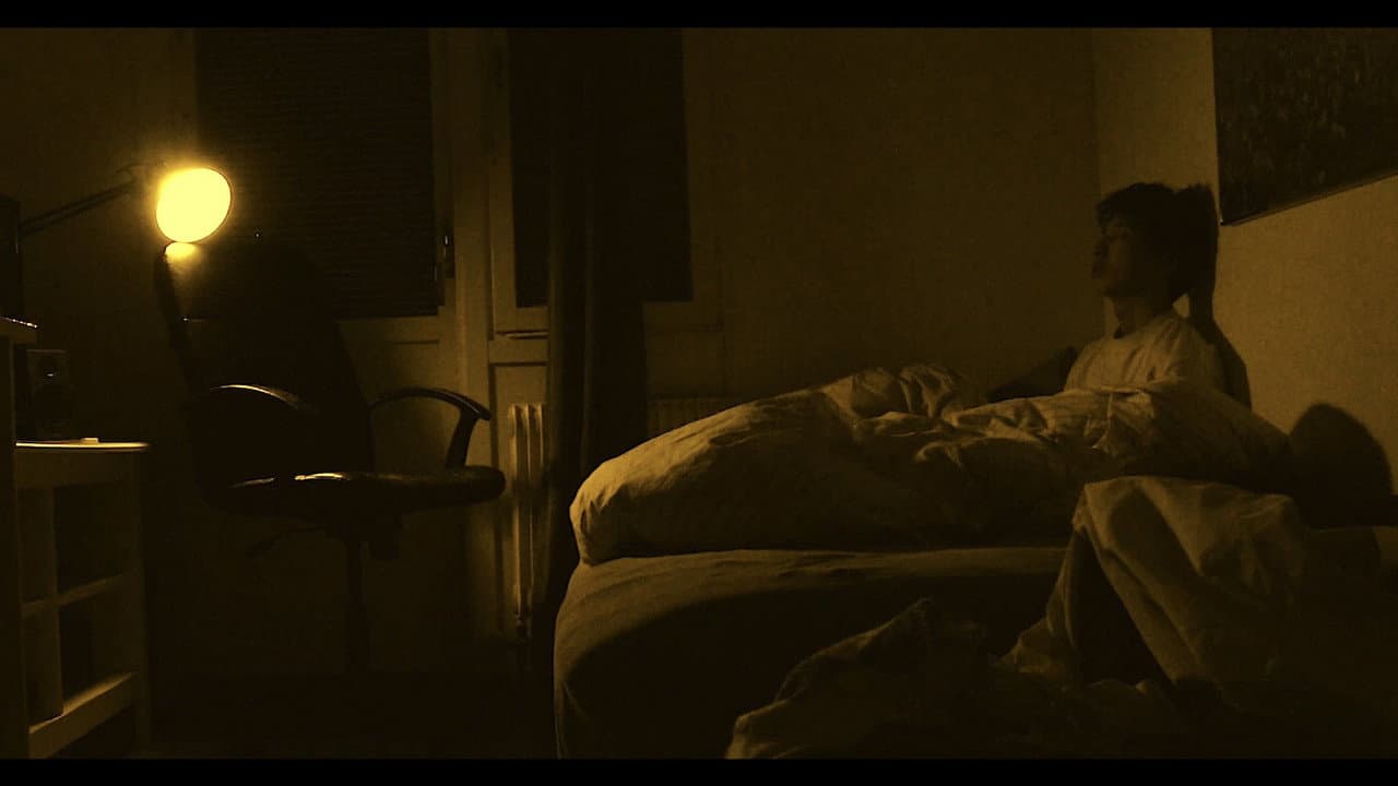 Backdrop – The Insomniac
