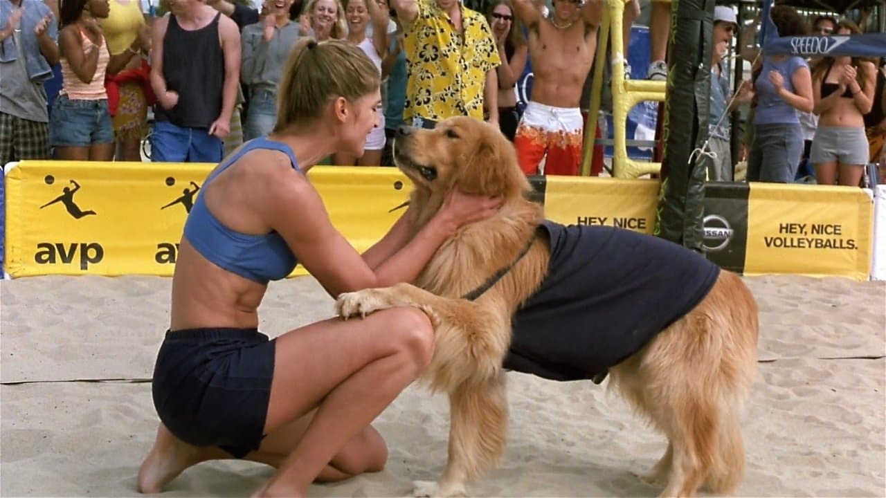 Backdrop – Air Bud 5 - Vier Pfoten schlagen auf