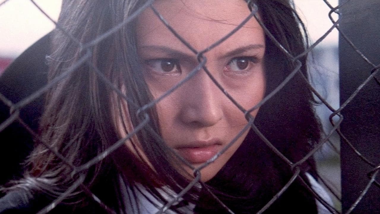 Backdrop – Stray Cat Rock: Sex Hunter