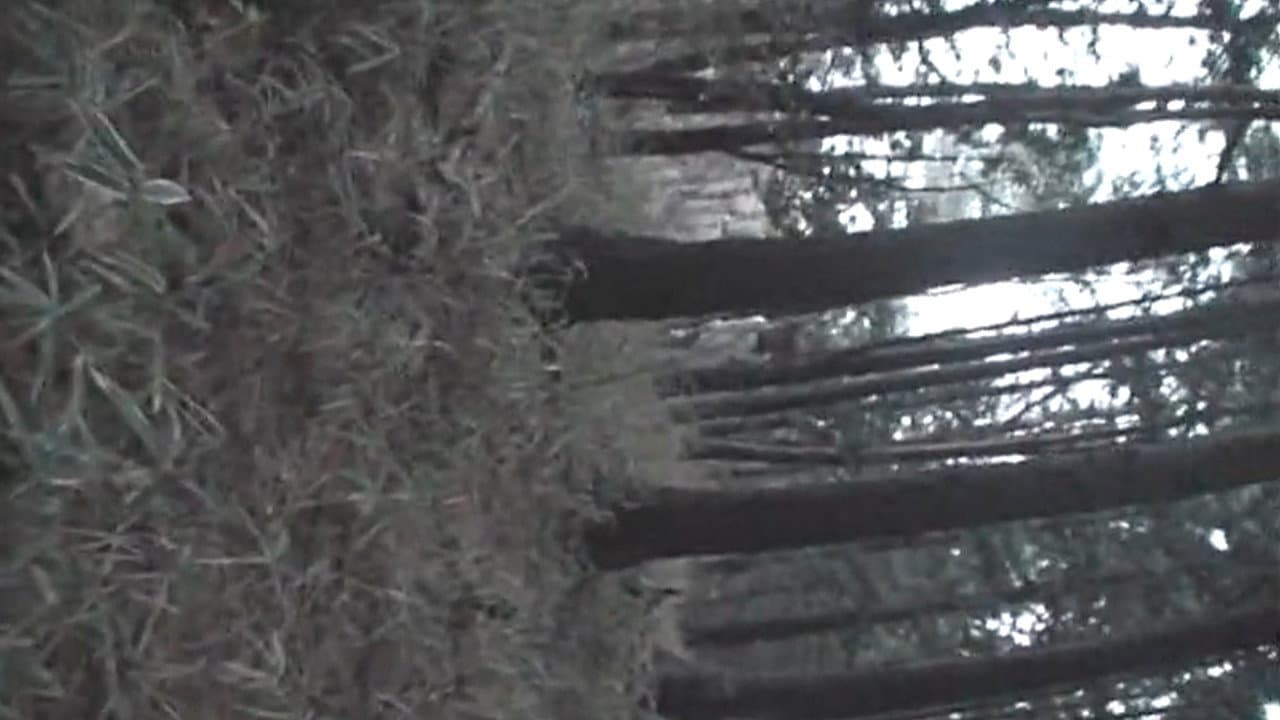 Backdrop – 呪いのご当地都市伝説～北海道・東北編～