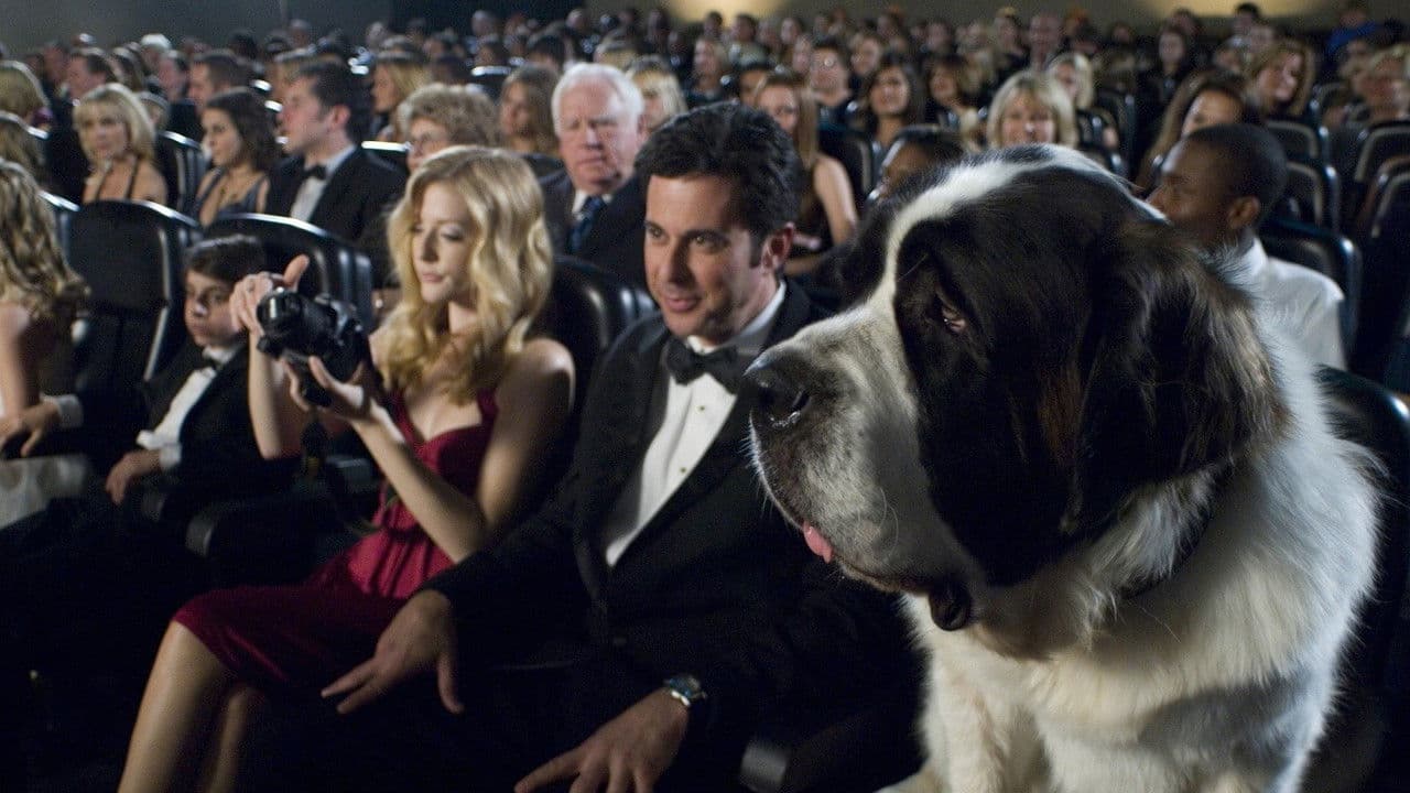 Backdrop – Beethovens großer Durchbruch