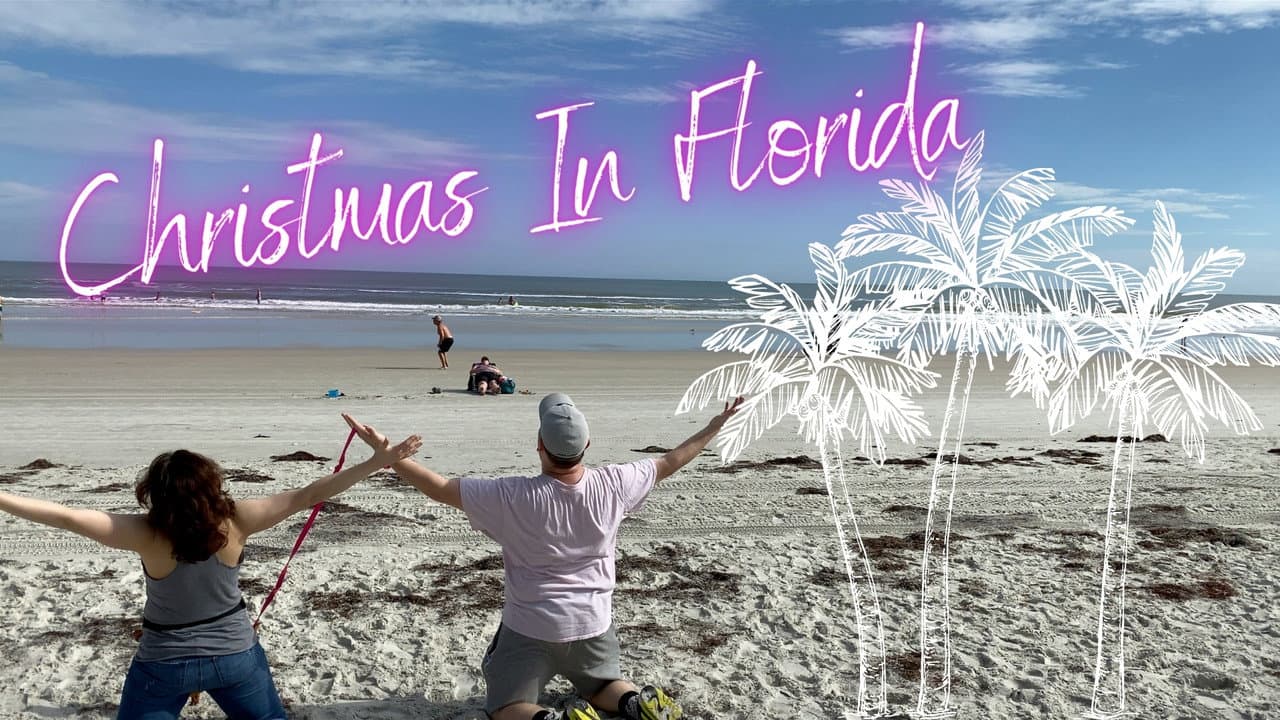 Backdrop – Christmas In Florida