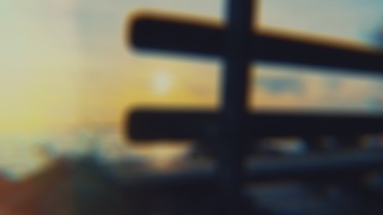 Backdrop – NOISE