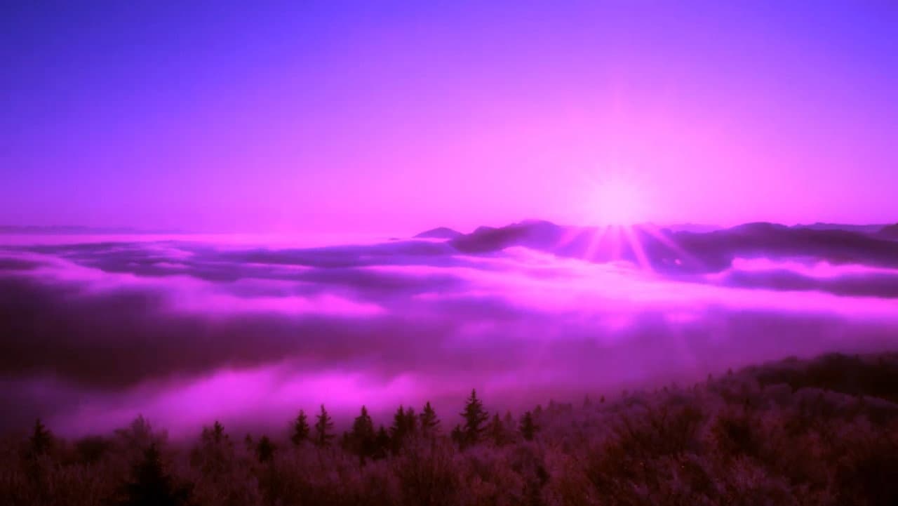 Backdrop – Purple Leone