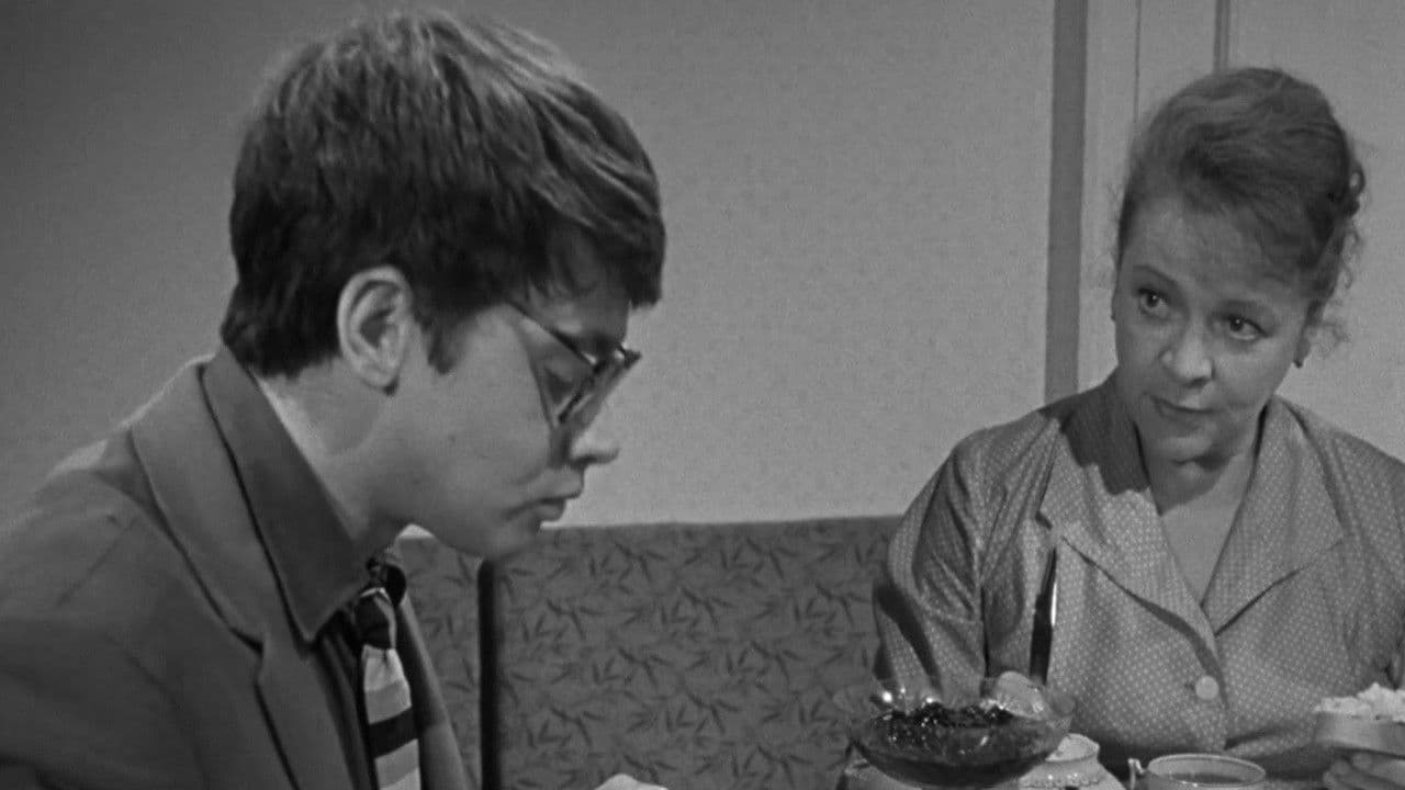 Backdrop – Взрослые дети