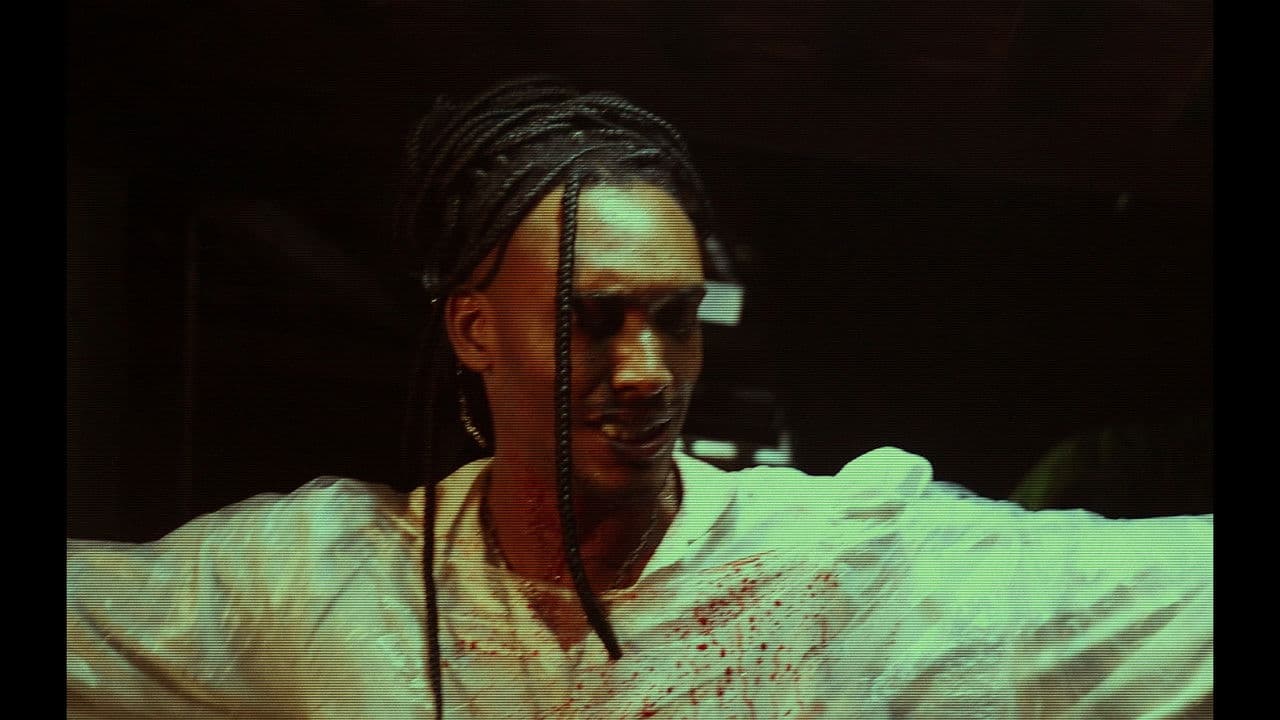 Backdrop – FELIZ 200!