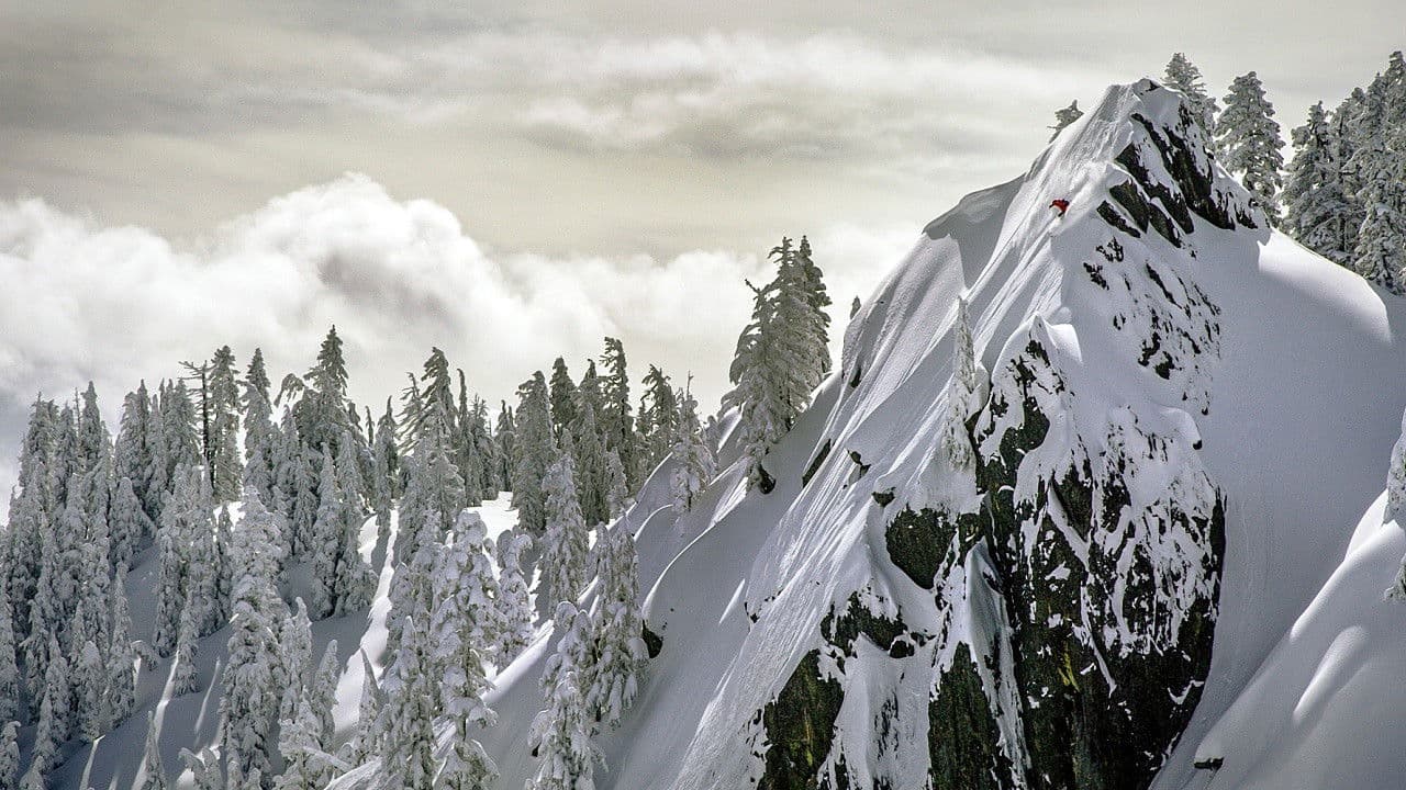 Backdrop – Drop Everything