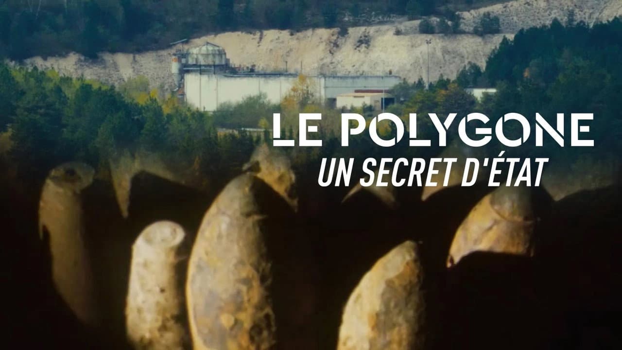 Backdrop – Le Polygone, un secret d'État