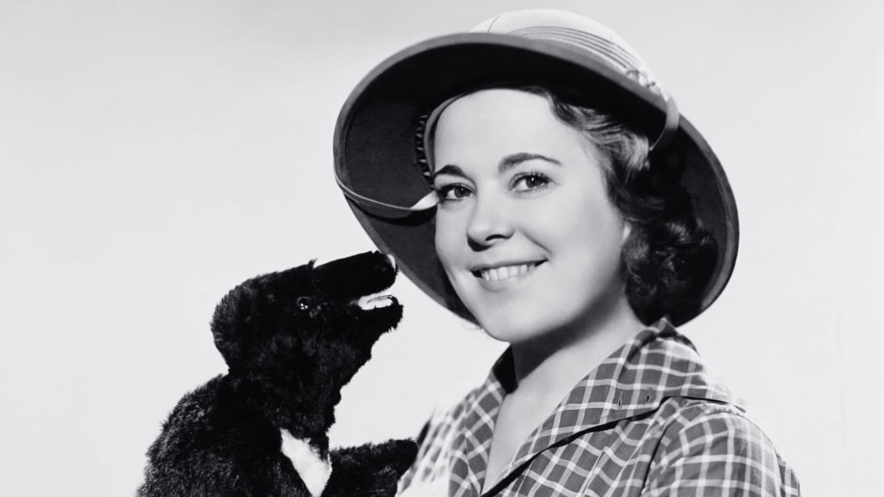 Backdrop – I Married Adventure