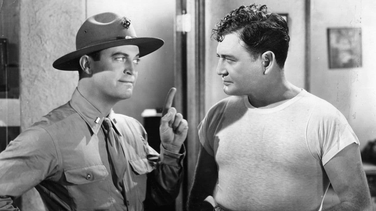 Backdrop – The Marines Fly High