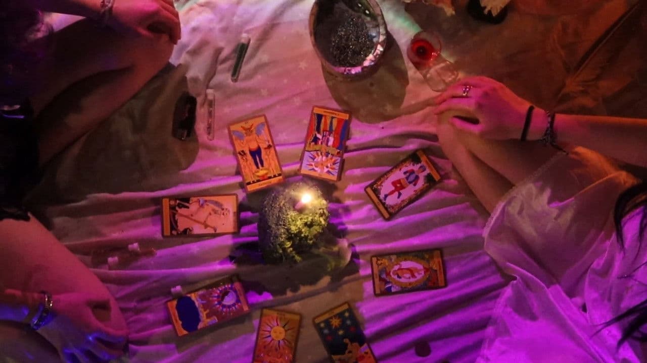 Backdrop – Brocolis