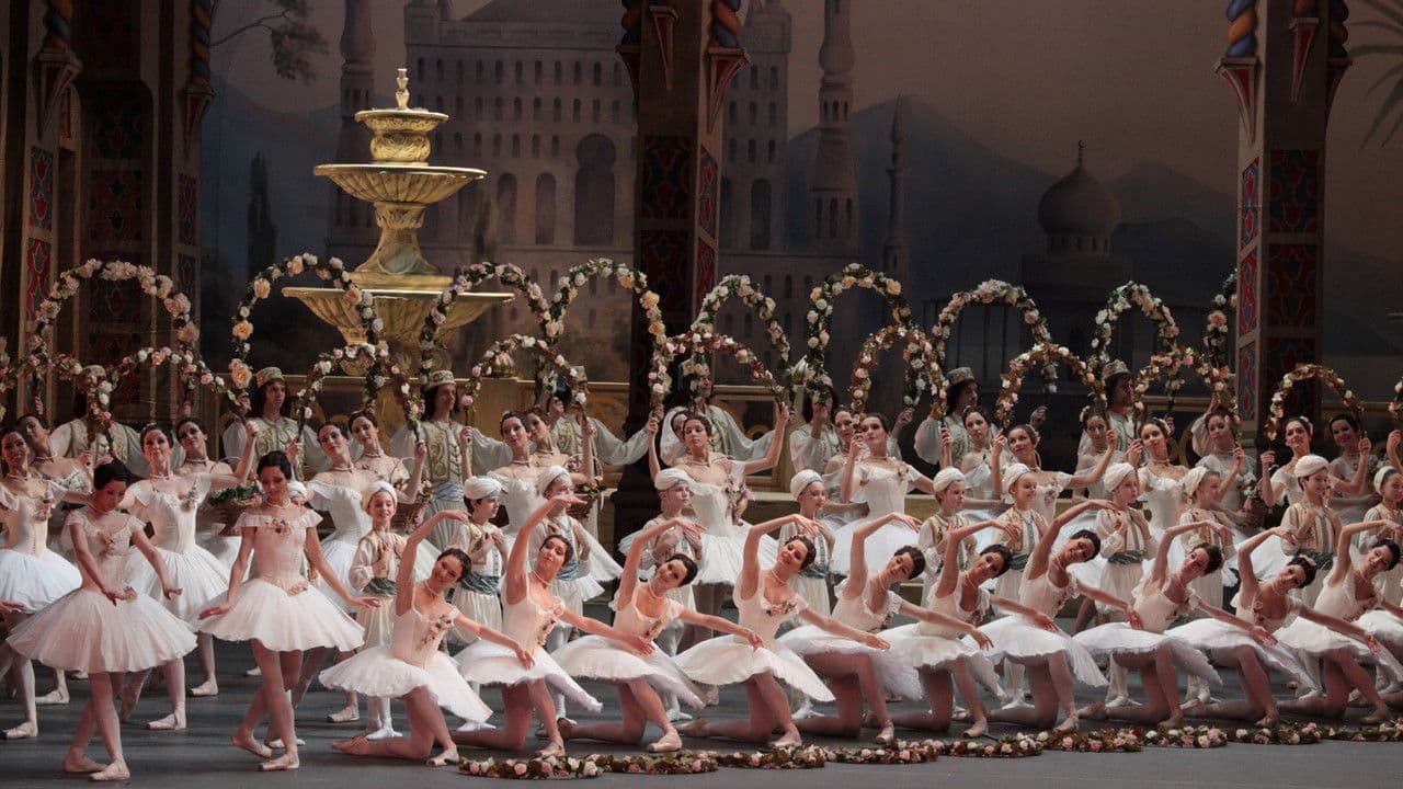 Backdrop – Bolshoi Ballet: Le Corsaire