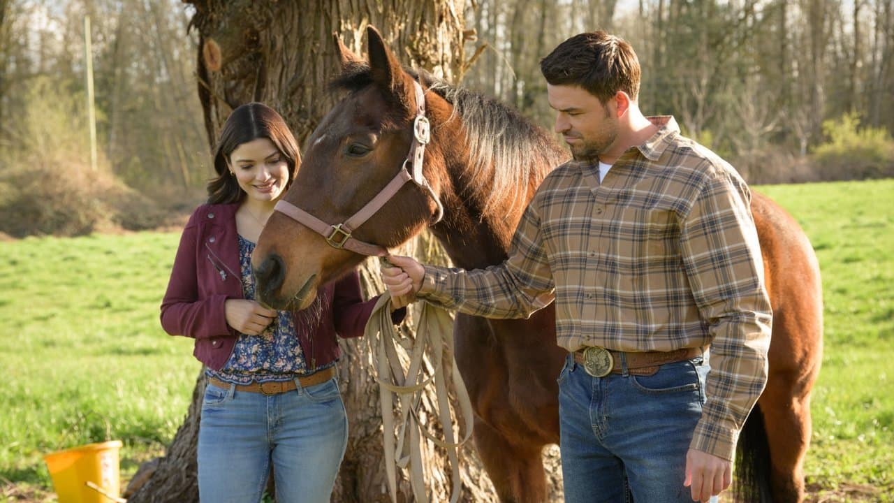 Backdrop – Vote One for Love