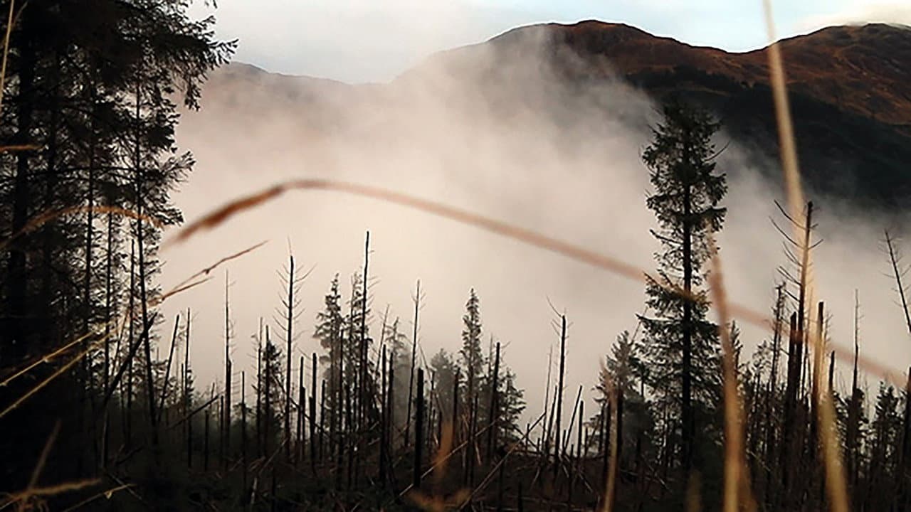 Backdrop – Life May Be