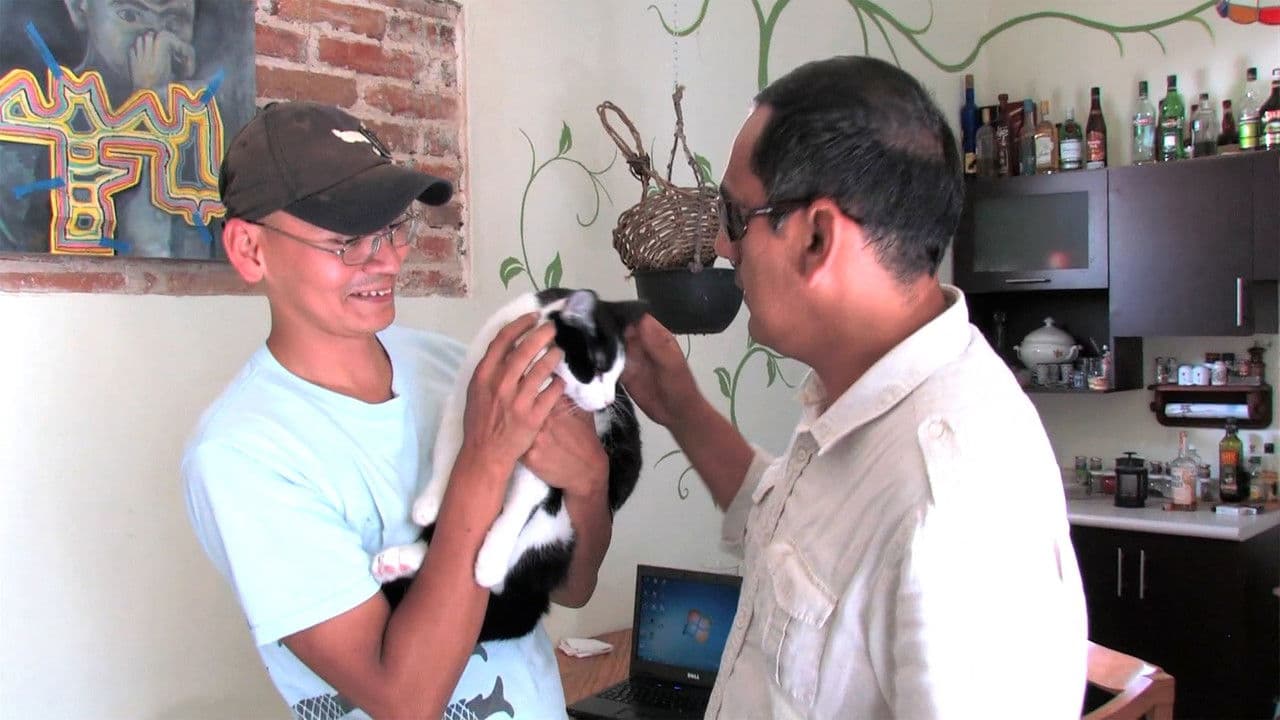 Backdrop – La historia detrás del candigato