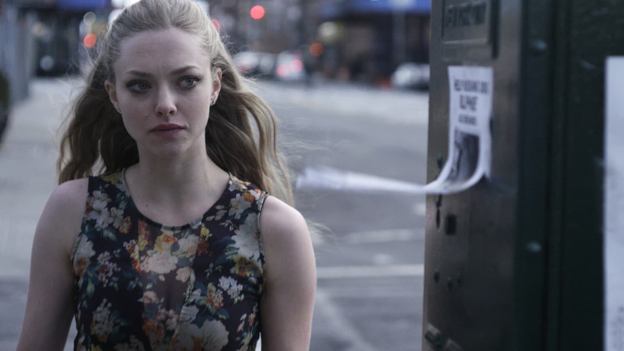 Backdrop – Dog Food