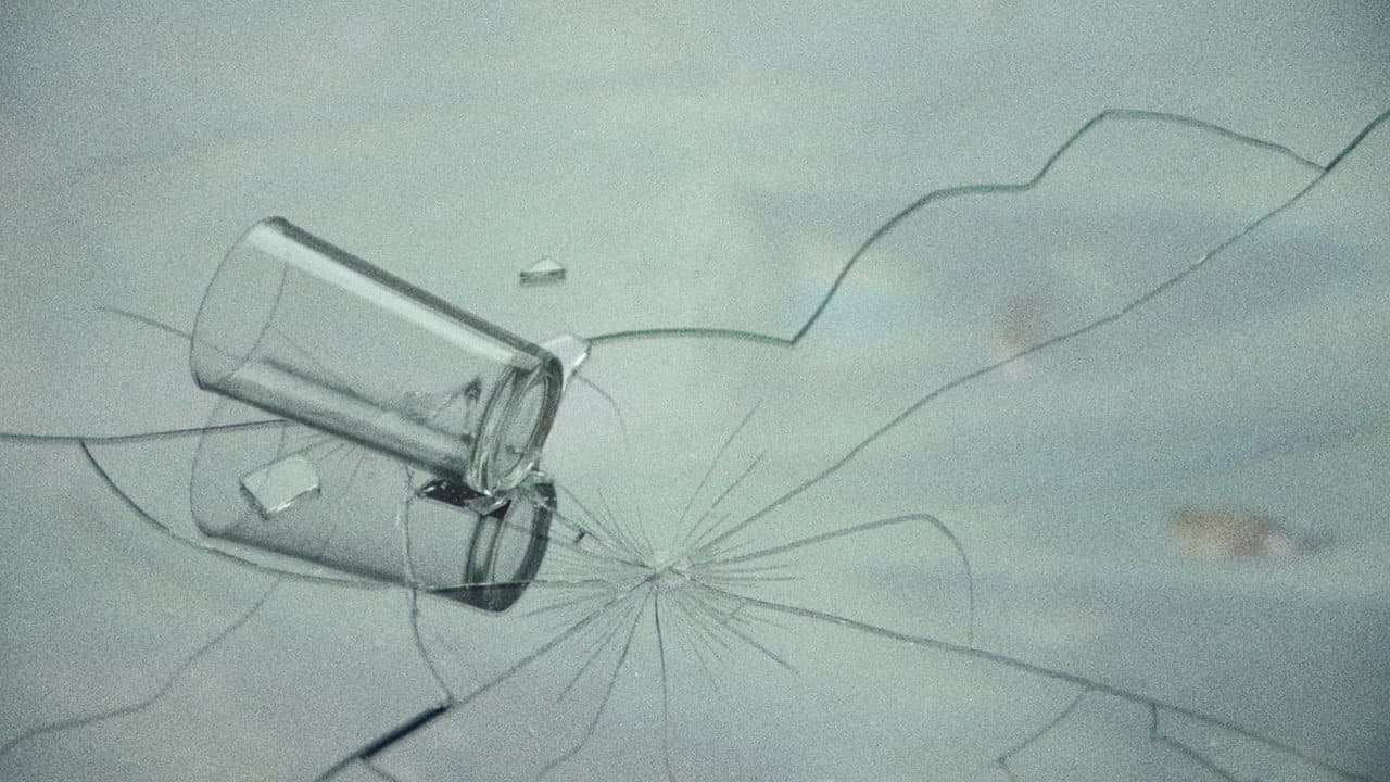 Backdrop – Los Nadadores