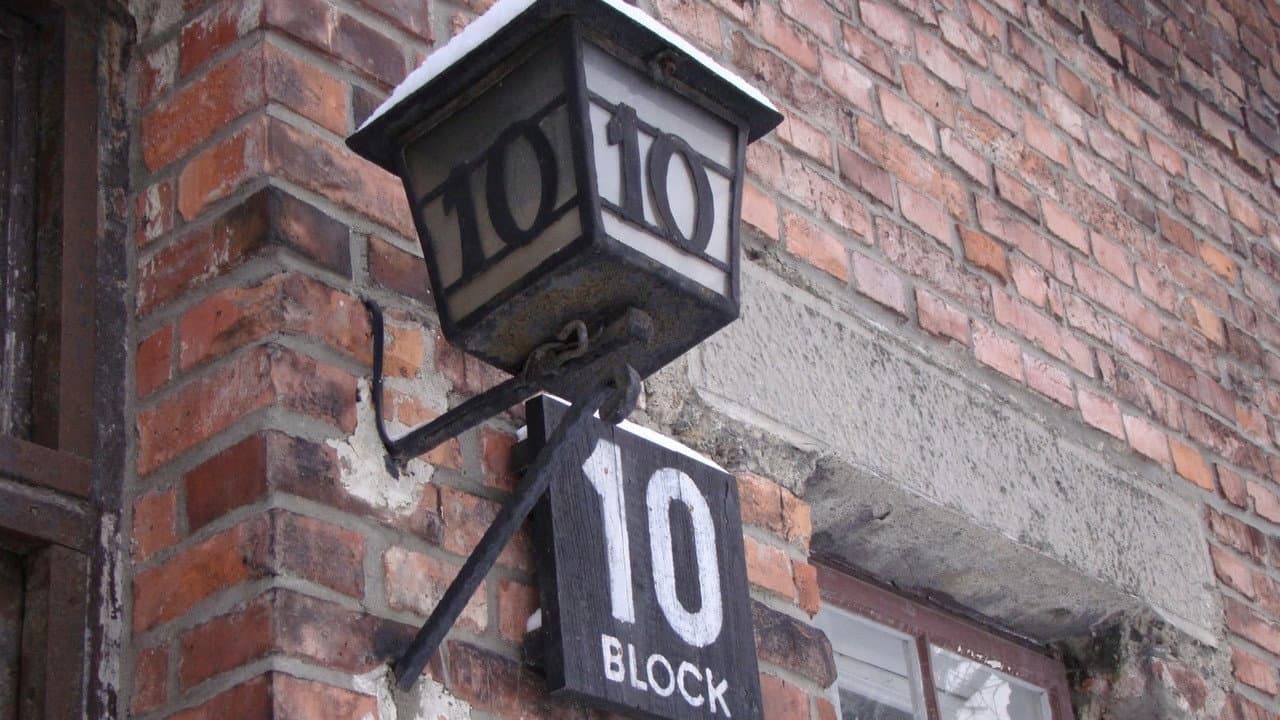 Backdrop – Medizinversuche in Auschwitz - Clauberg und die Frauen von Block 10