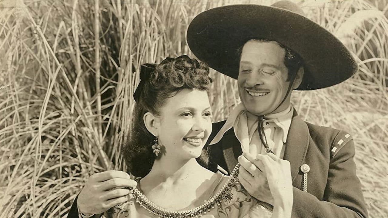 Backdrop – The Cisco Kid Returns