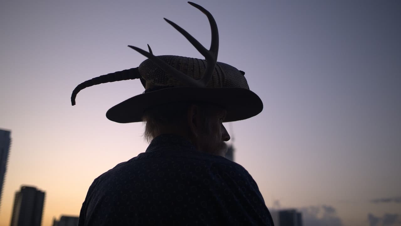 Backdrop – Armadillo Man: The Trips of Jim Franklin