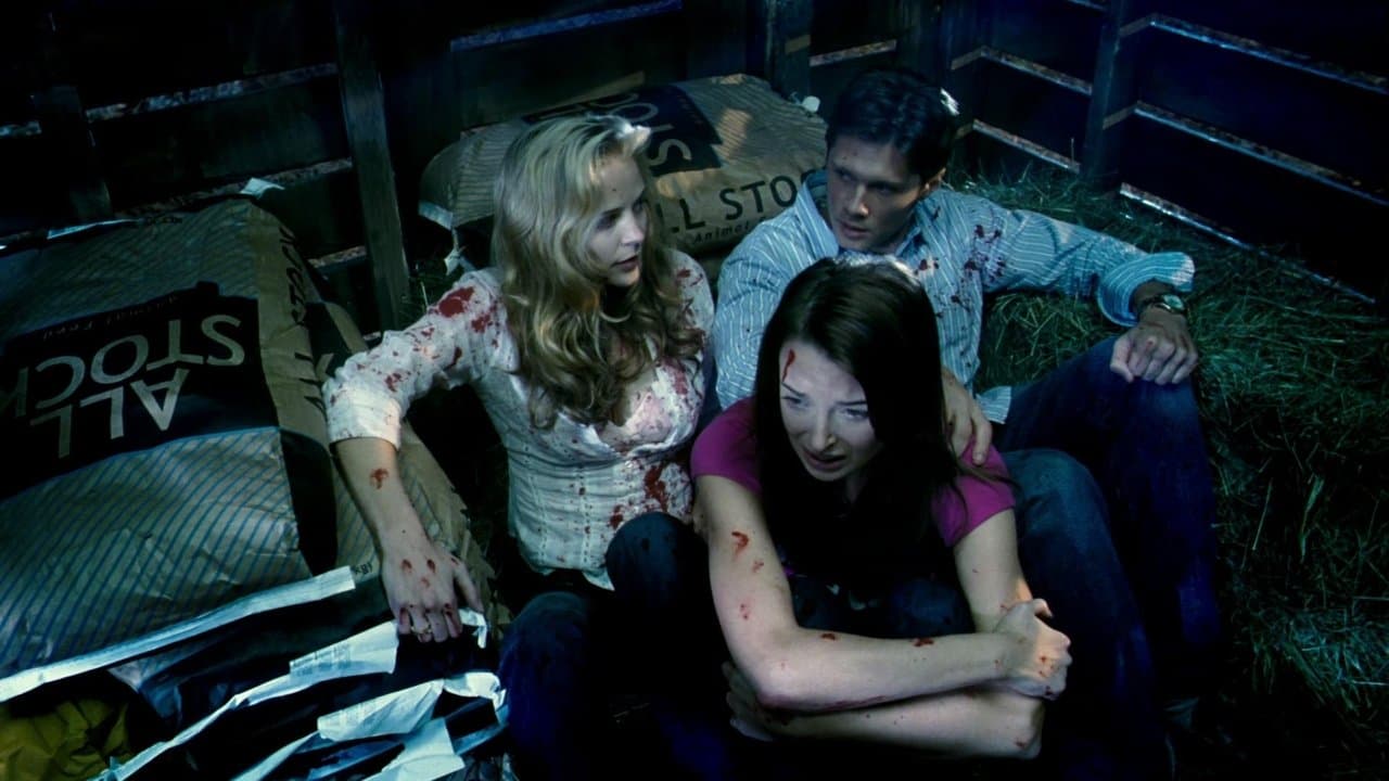 Backdrop – Grizzly Park