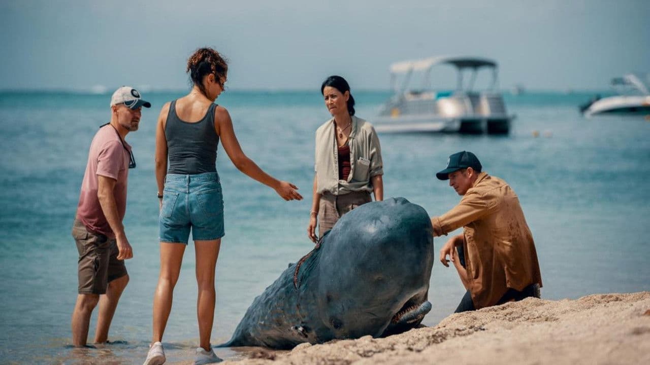 Backdrop – Retter der Meere - Tödliche Strandung