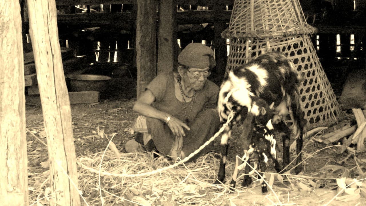 Backdrop – Gyani Maiya