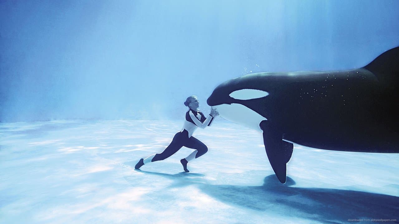 Backdrop – Blackfish: Der Killerwal