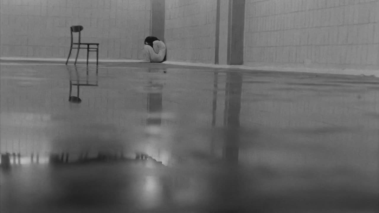 Backdrop – Krakatau