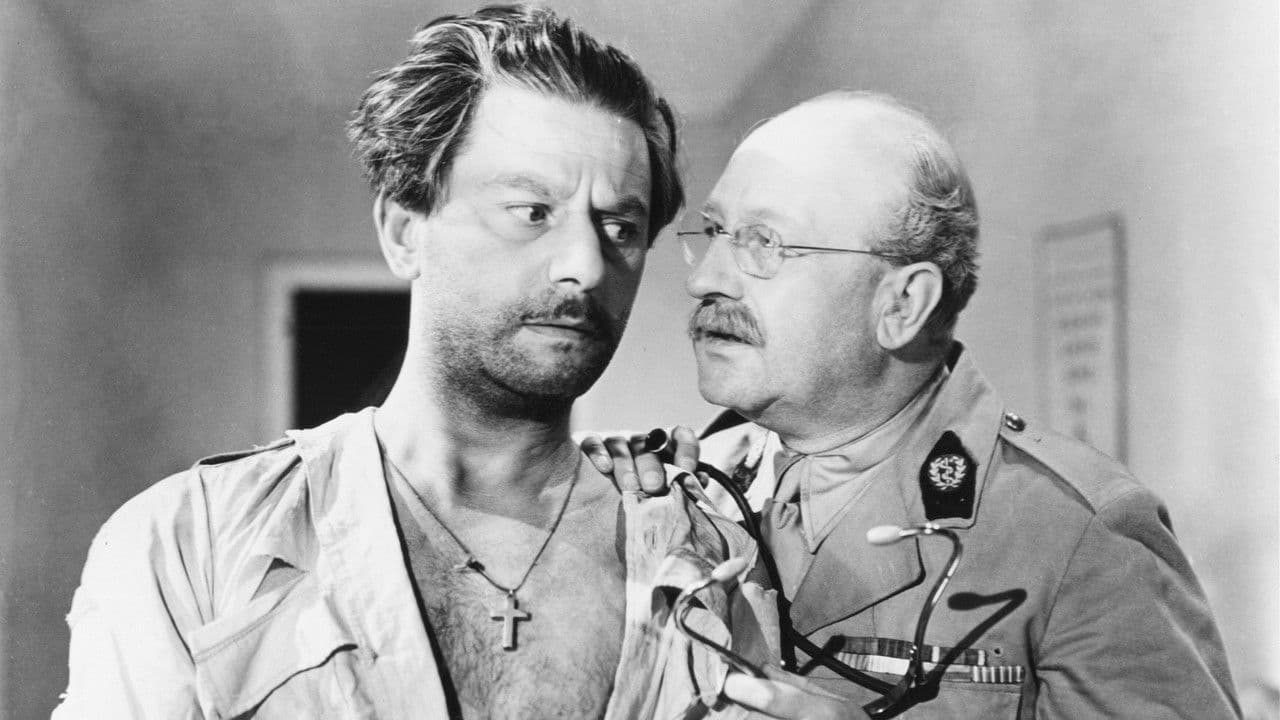 Backdrop – Der Mann aus Marokko