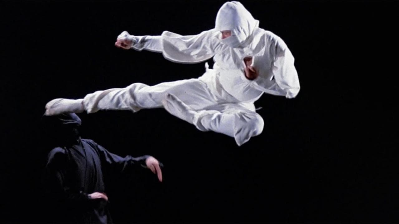 Backdrop – Ninja - Die Killermaschine