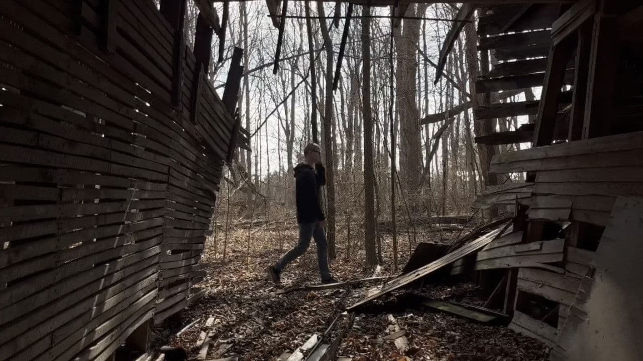 Backdrop – Beneath the Canopy