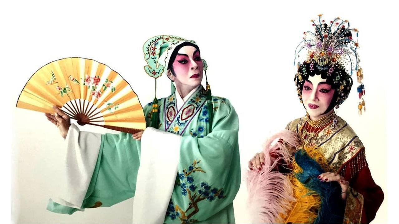 Backdrop – 古巴花旦