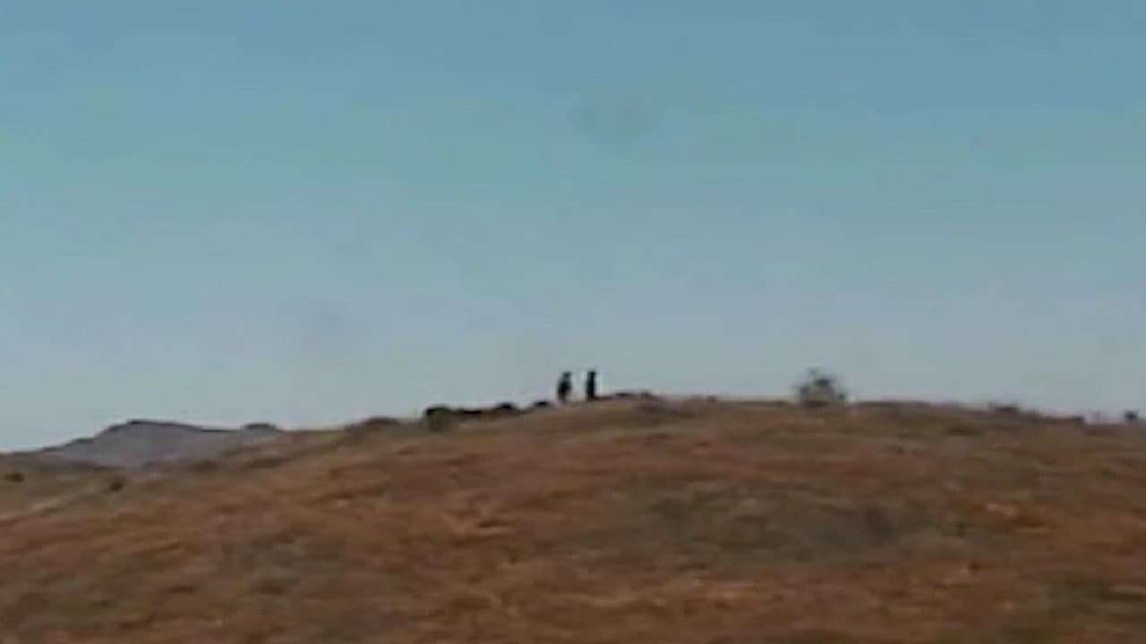 Backdrop – Bountiful Triumph