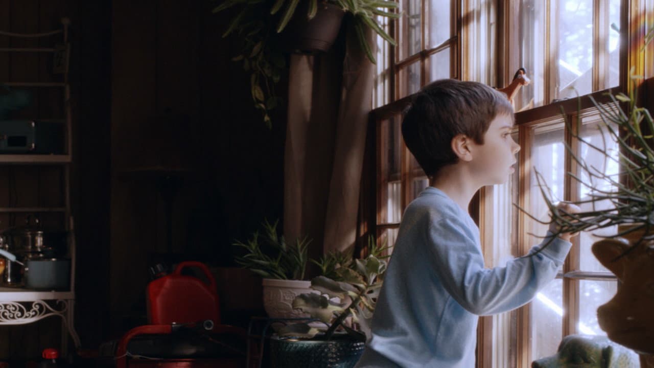 Backdrop – Homesick
