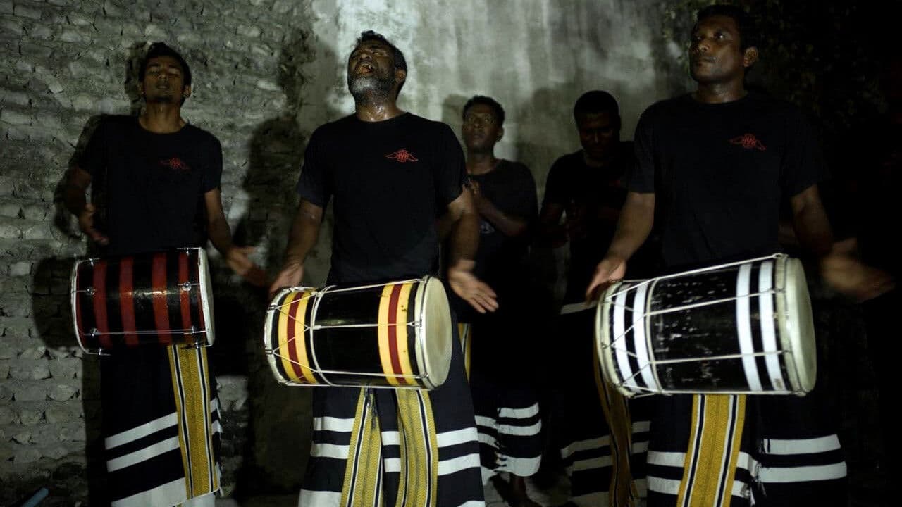 Backdrop – Last Glimpse