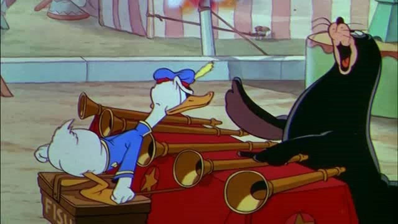 Backdrop – Mickys Zirkus