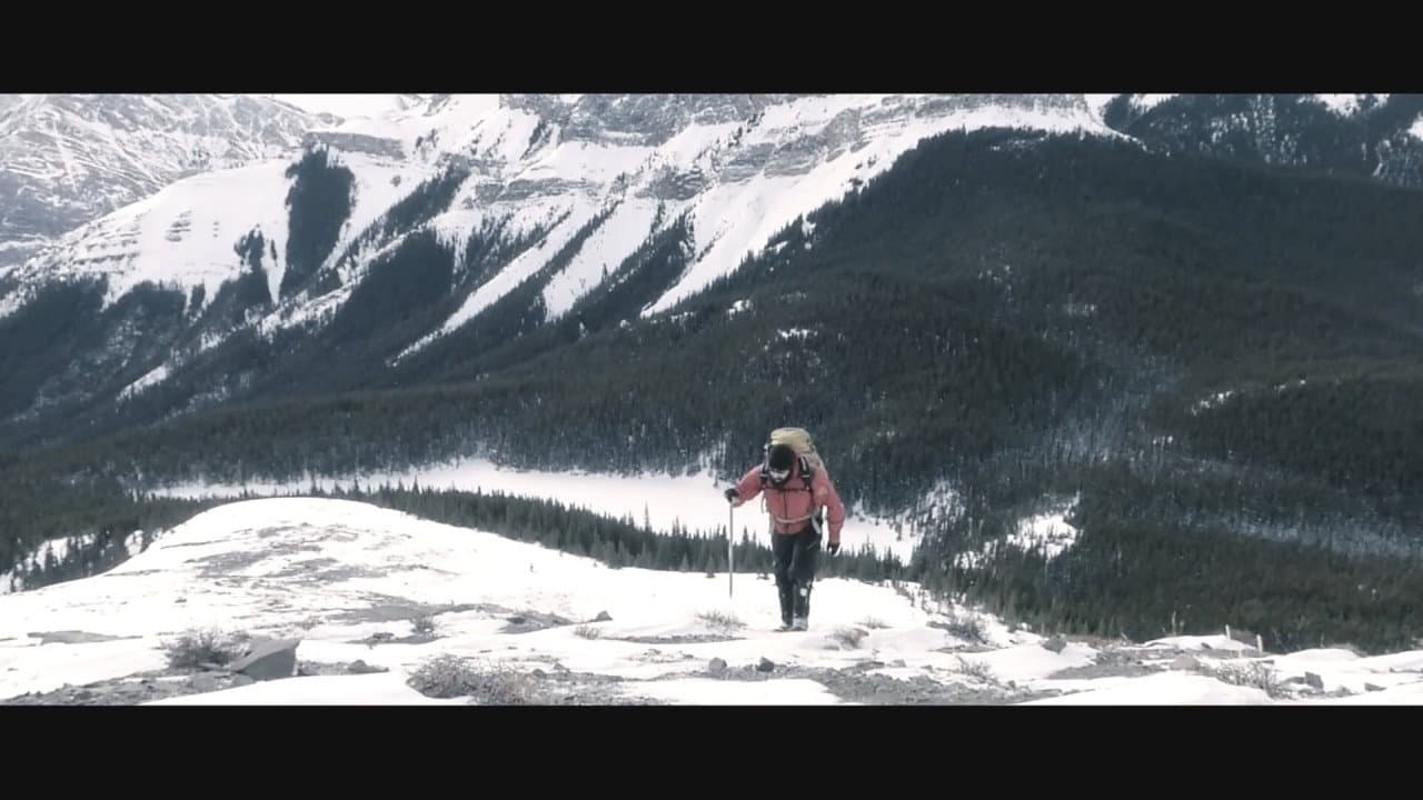 Backdrop – Expedition Sasquatch