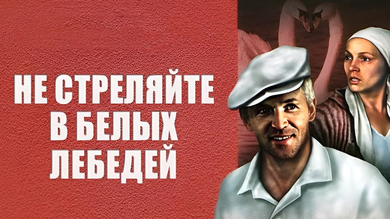 Backdrop – Не стреляйте в белых лебедей