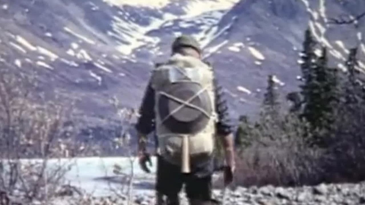 Backdrop – Alone in the Wilderness