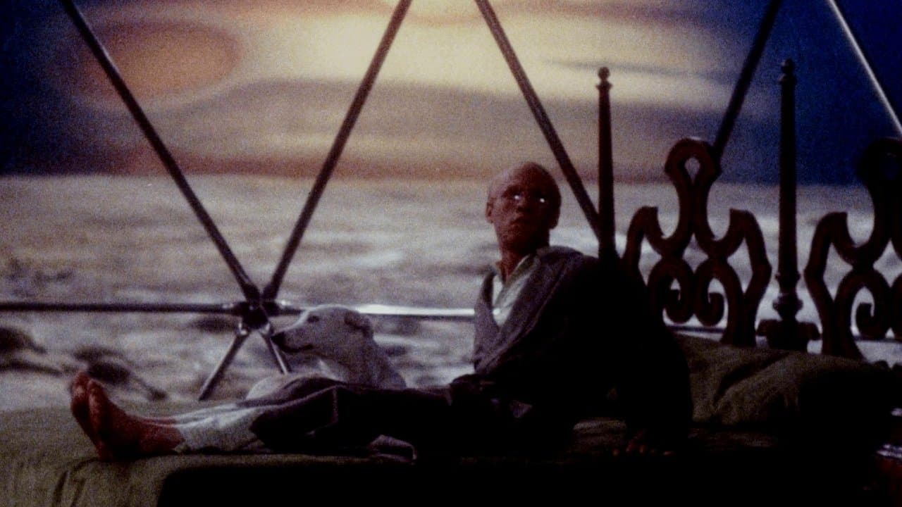 Backdrop – Schlachthof 5