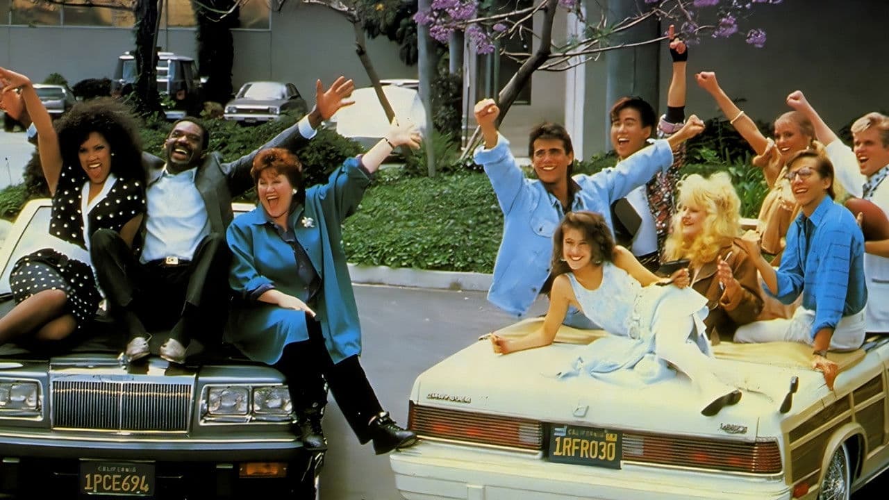 Backdrop – Driving Academy