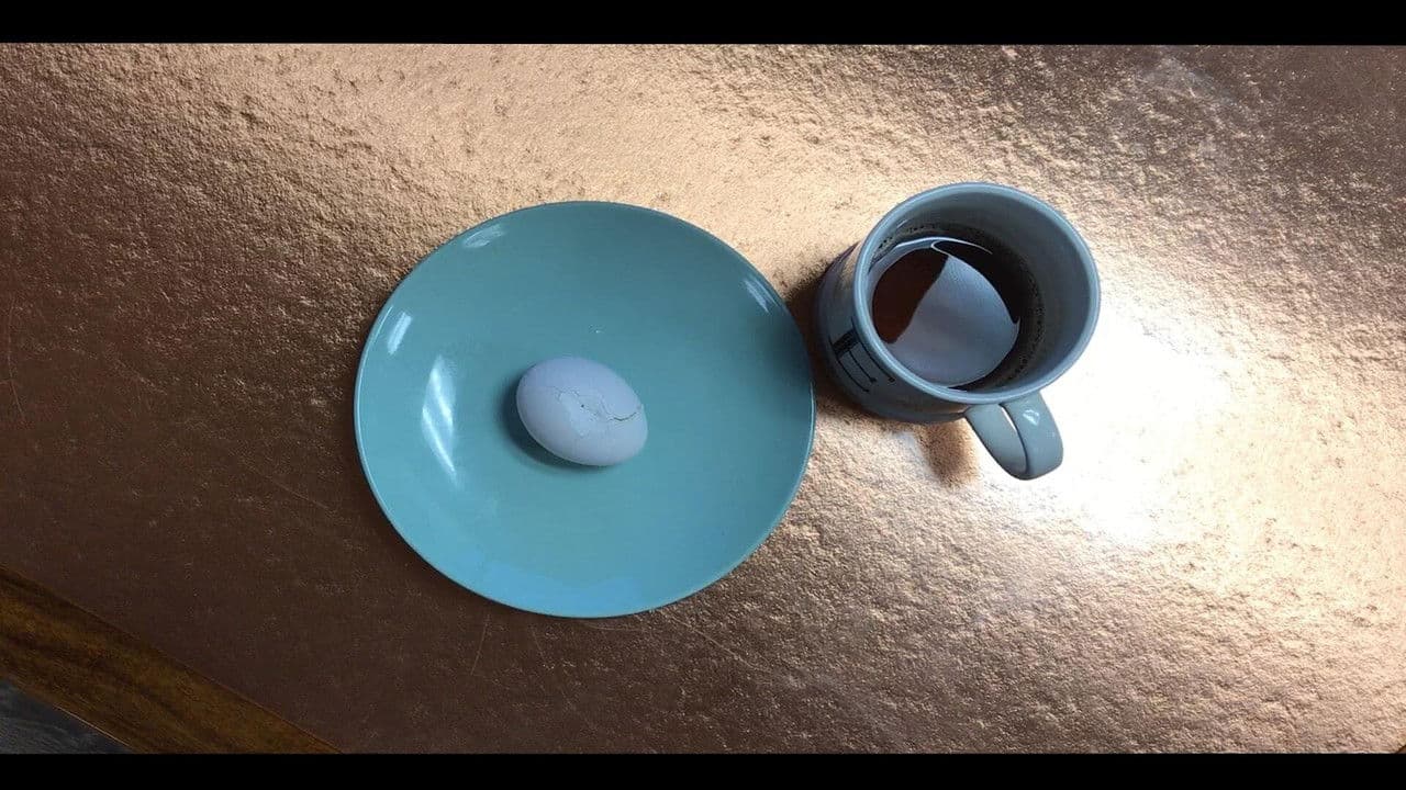 Backdrop – Egg Boy