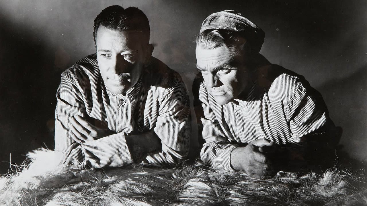 Backdrop – Todesangst bei jeder Dämmerung
