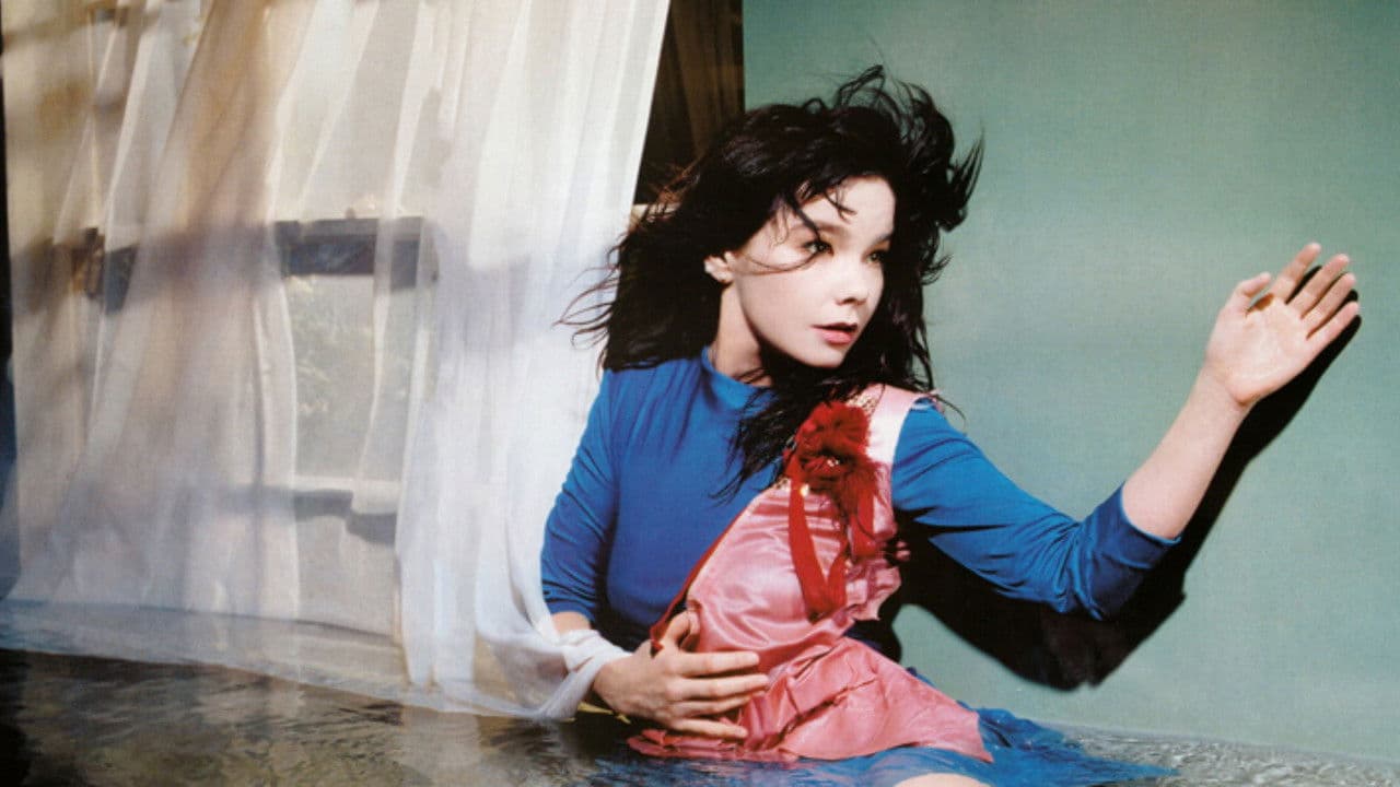 Backdrop – Inside Björk