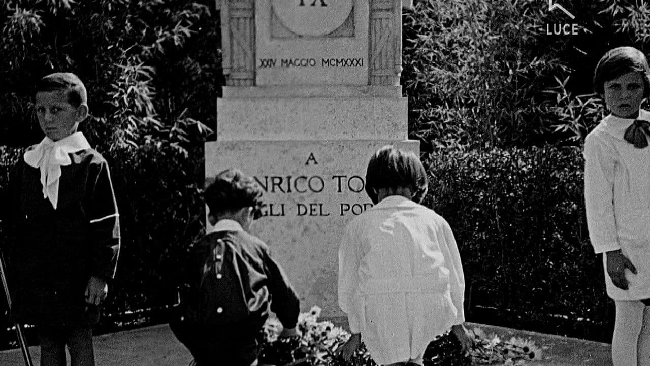 Backdrop – Africa bianca