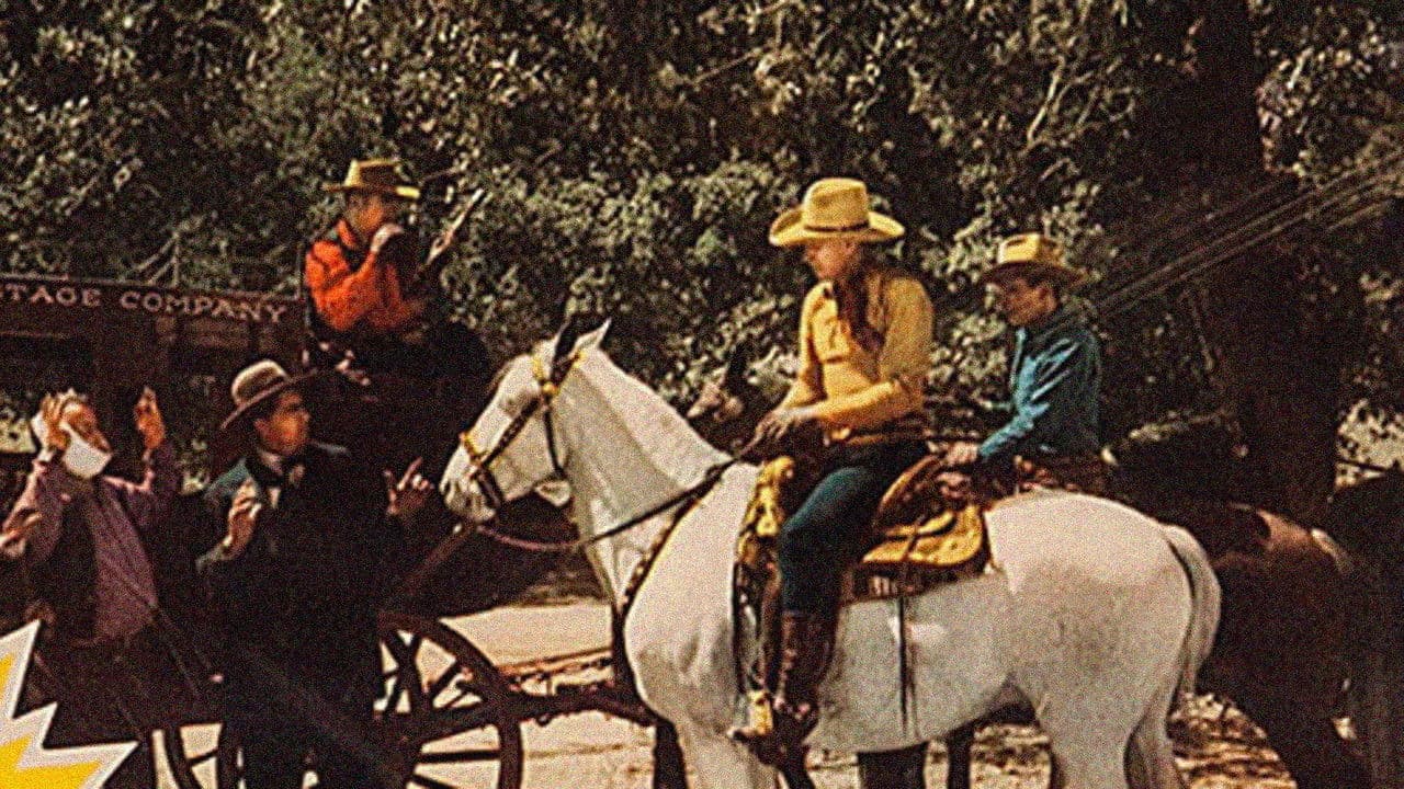 Backdrop – The Trail Blazers