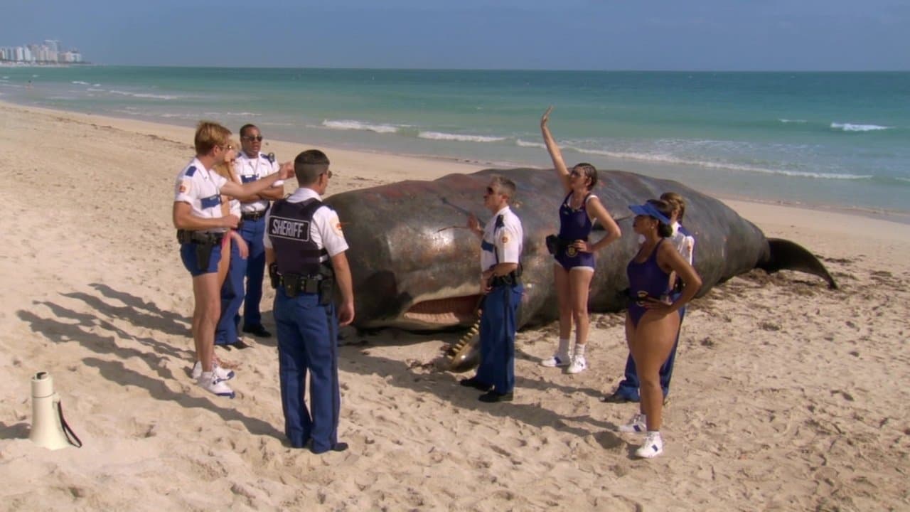 Backdrop – Reno 911! - Miami